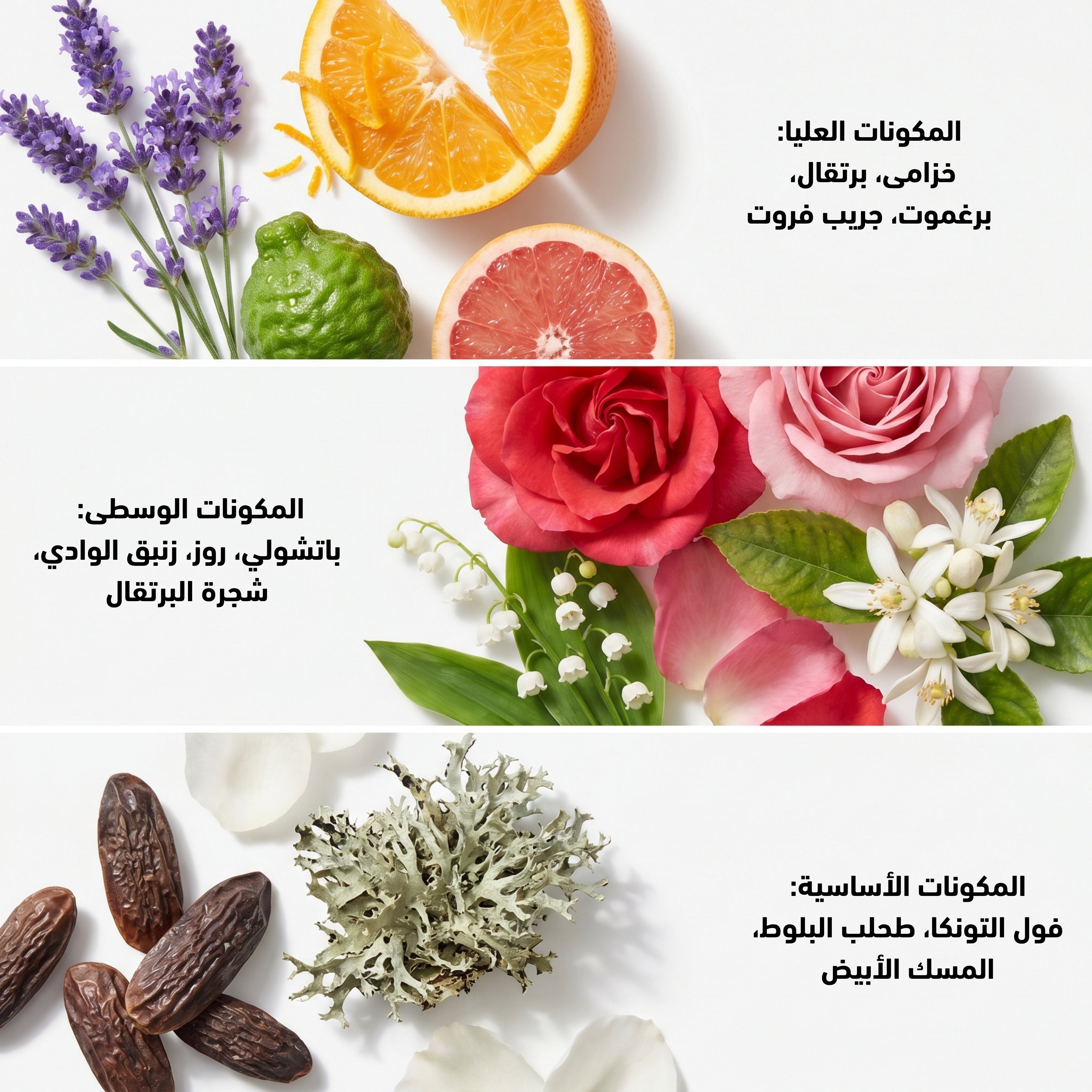 Fragrance Of Love