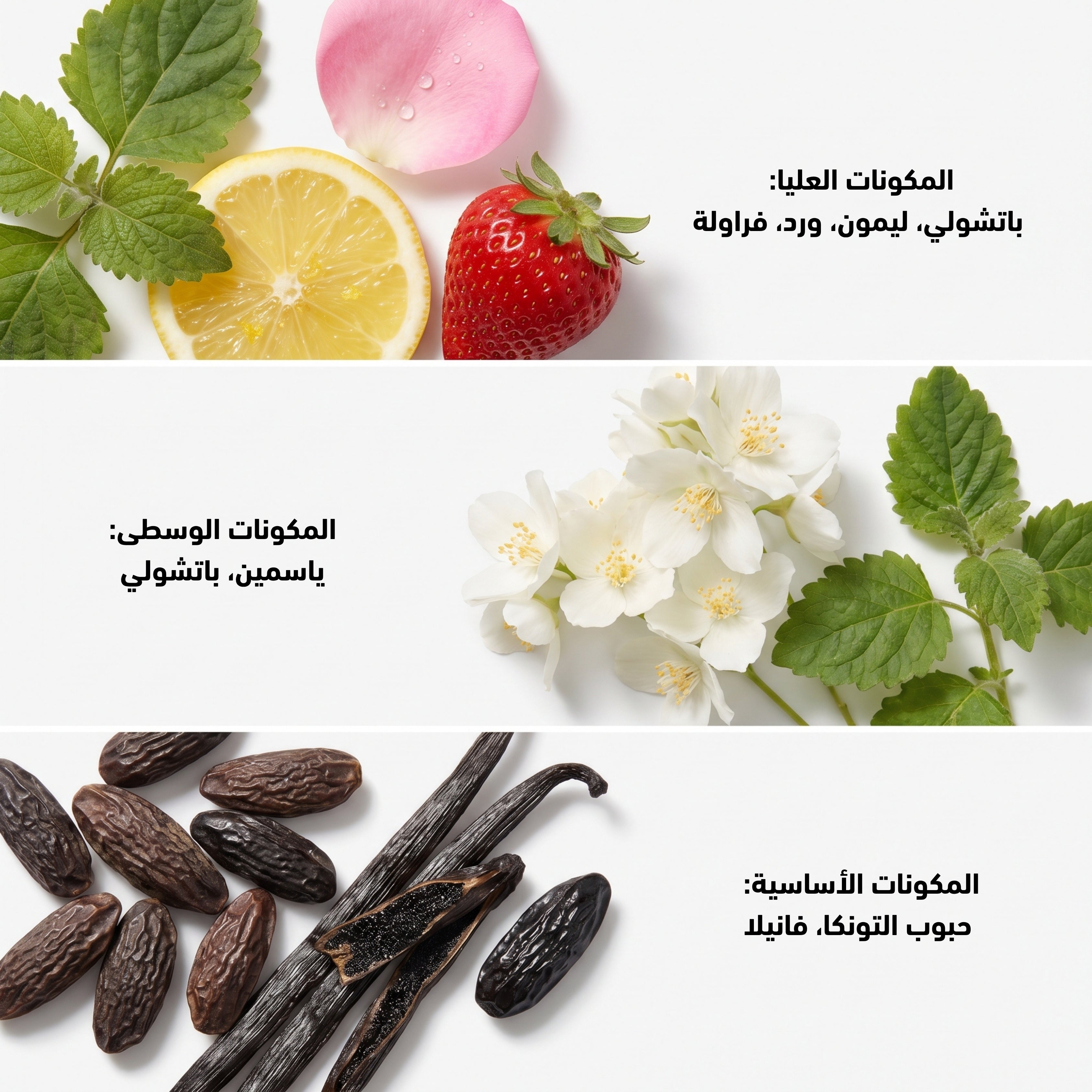 Oriental Royal 50ml