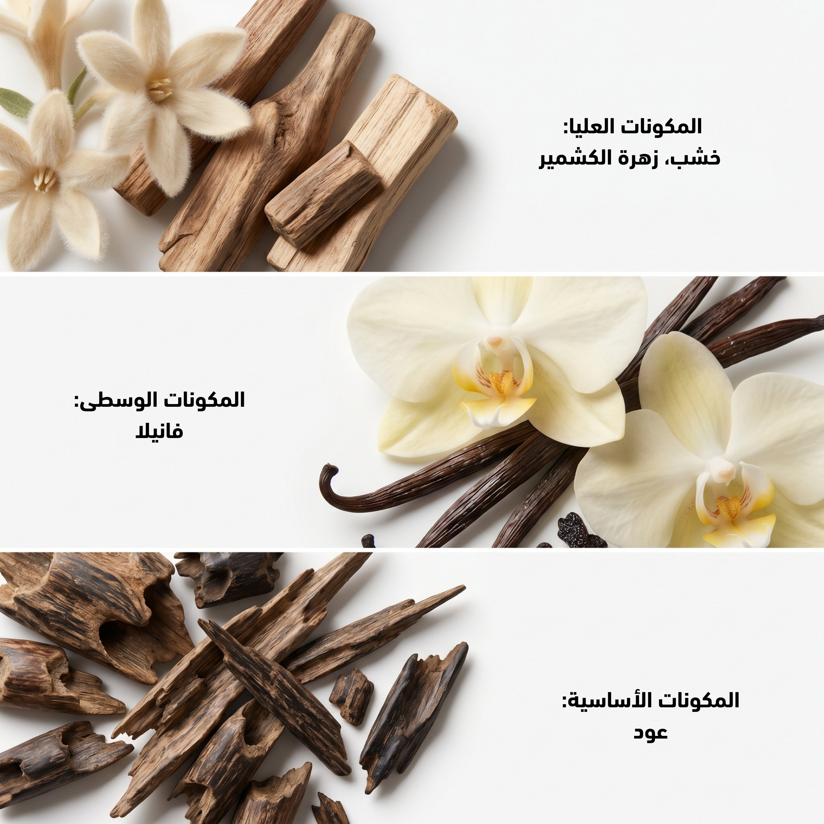 Summer Oud