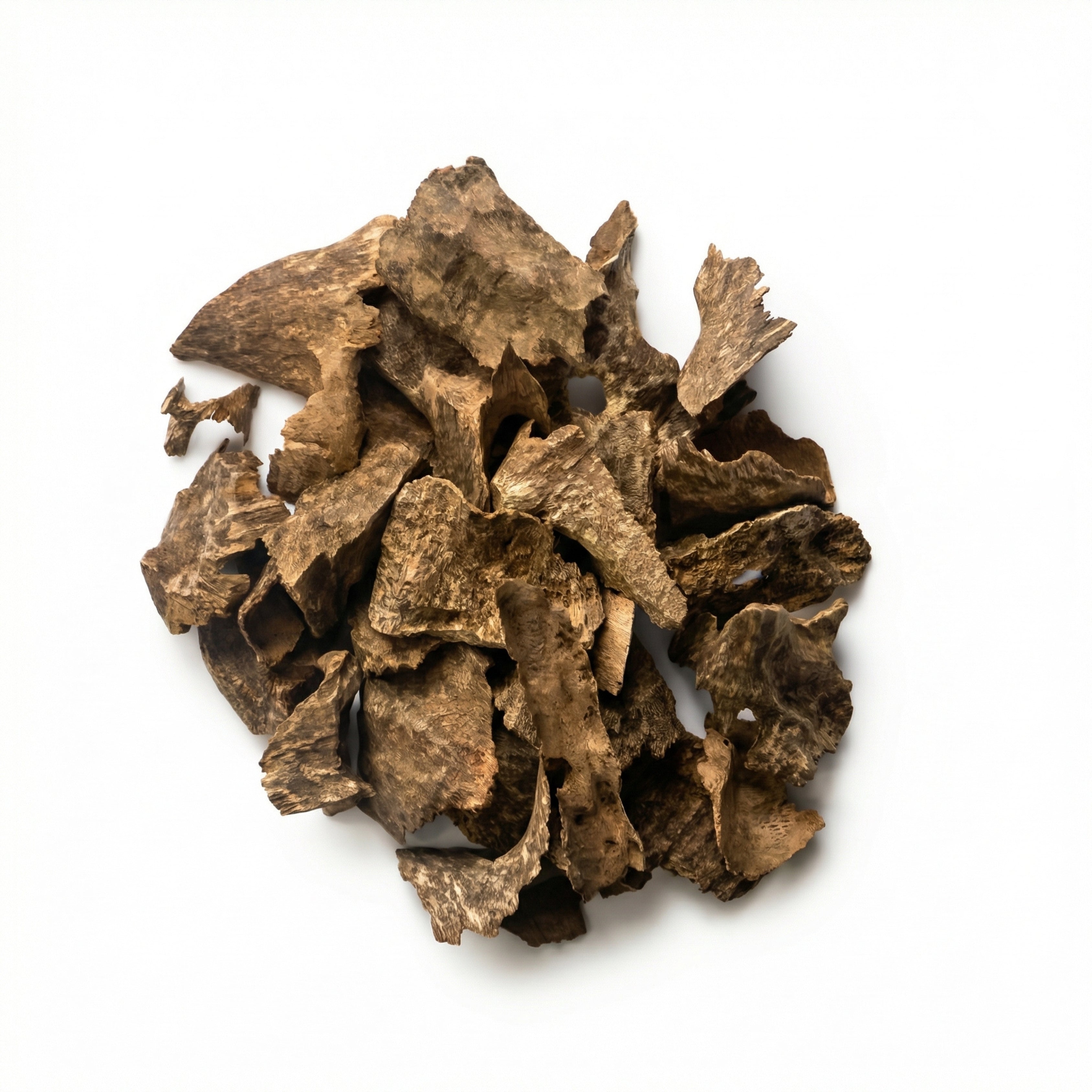 Oud Zawaya Mini 12grams By Perfumista Al Oud